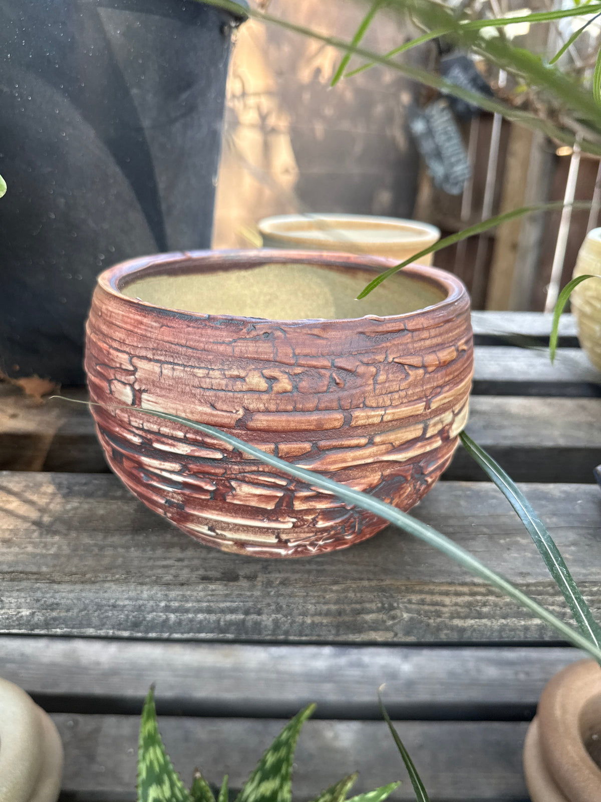 WCP Handmade Pot for Bonsai & Cacti