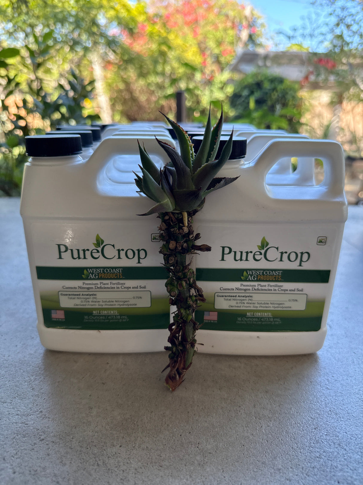 PureCrop – Plant-Based Nitrogen Input