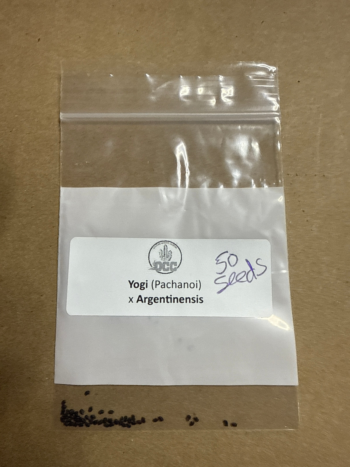 Yogi x Argentinensis (50+ seeds)