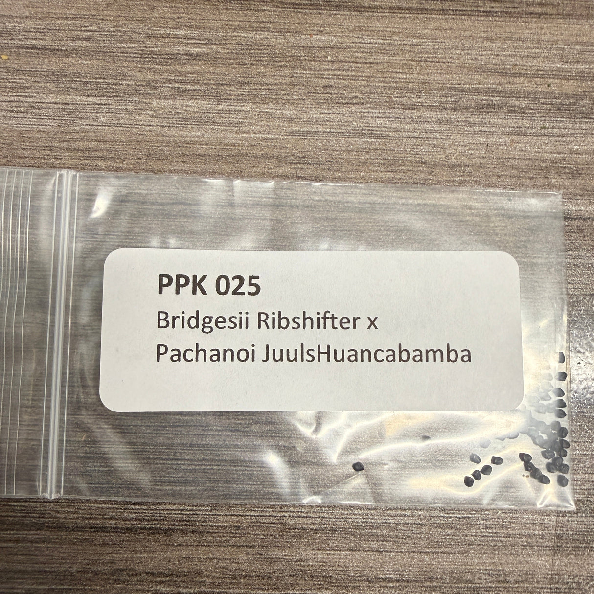 PPK 025- Ribshifter x Juuls Huancabamba - Bridgesii x Pachanoi