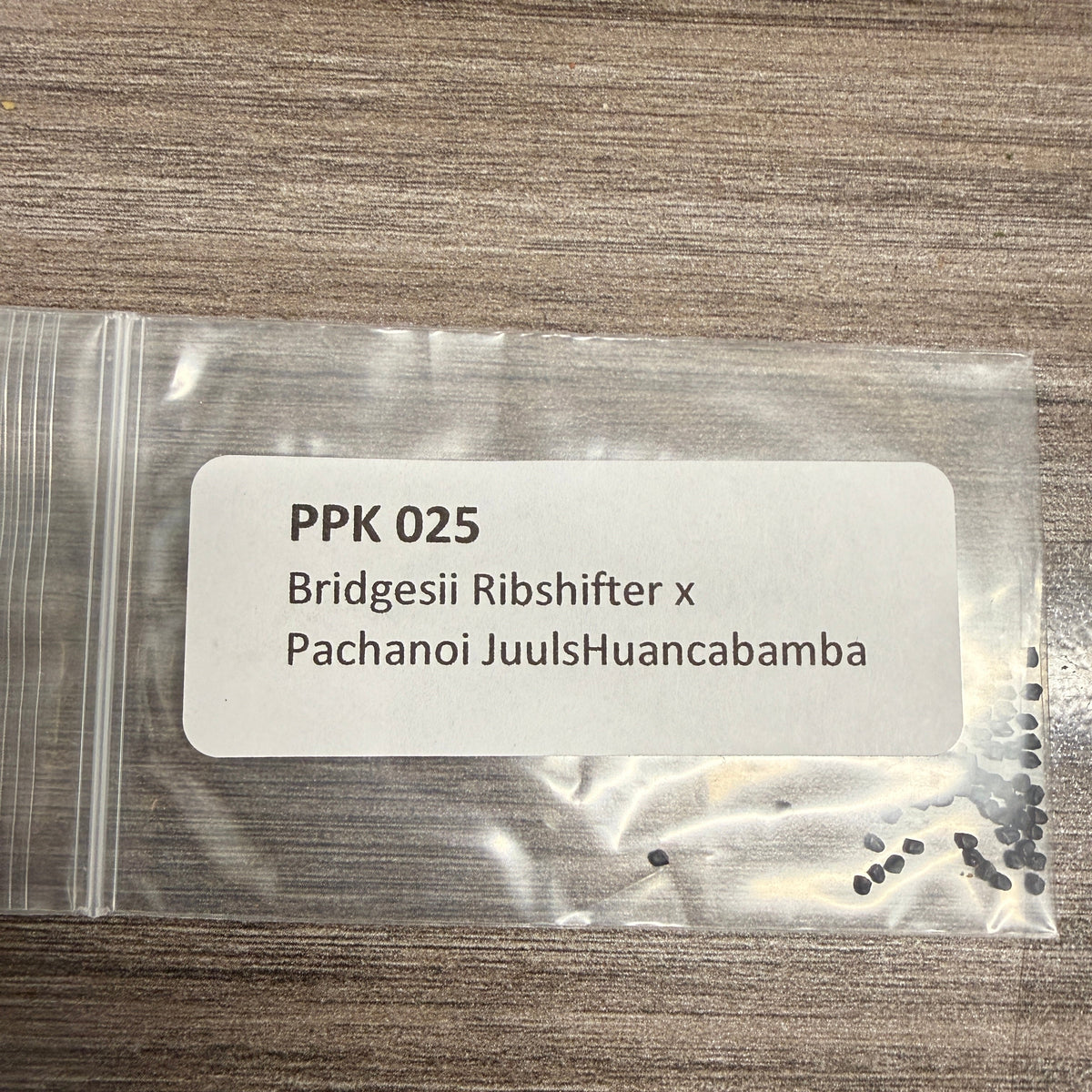 PPK 025- Ribshifter x Juuls Huancabamba - Bridgesii x Pachanoi