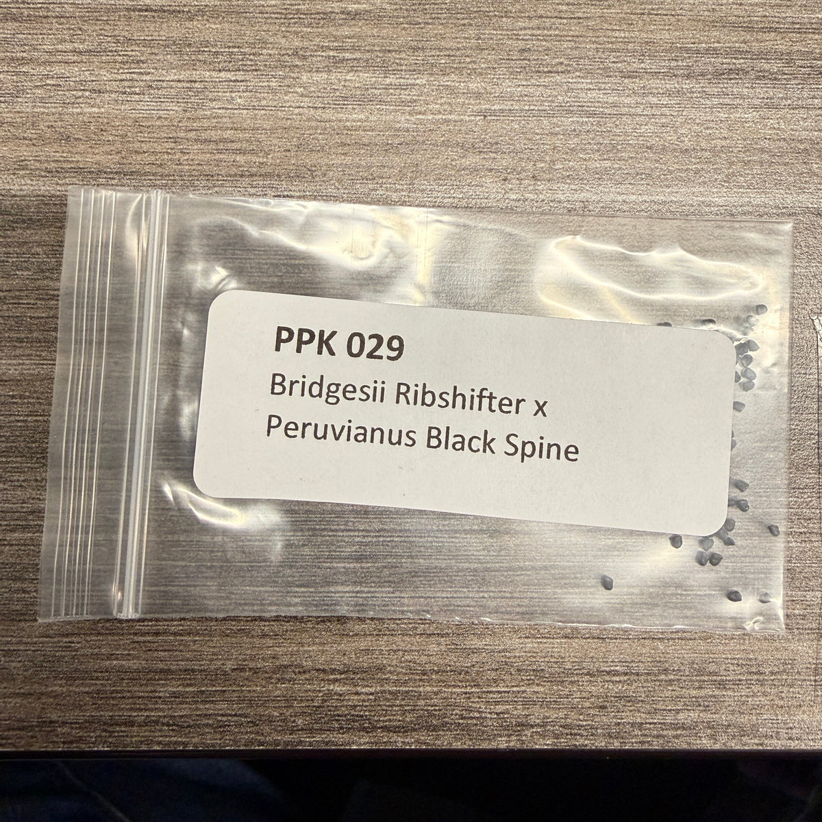 PPK 029 - Ribshifter x Black Spine - Bridgesii x Peruvianus