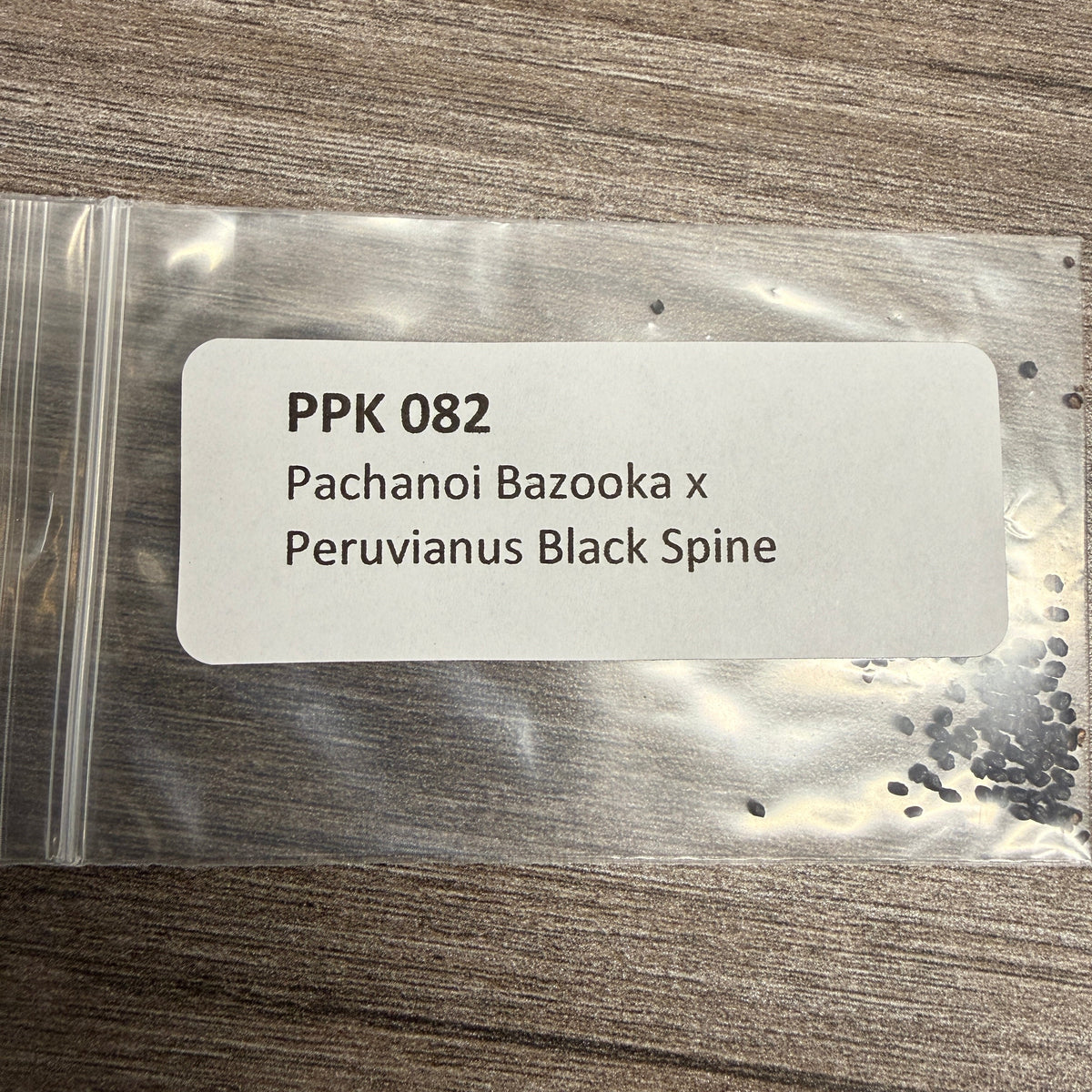 PPK 082 - Bazooka x Black Spine - Pachanoi x Peruvianus