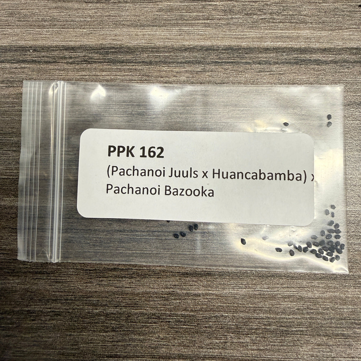 PPK 162 - (Juuls x Huancabamba) x Bazooka - Pachanoi x Pachanoi