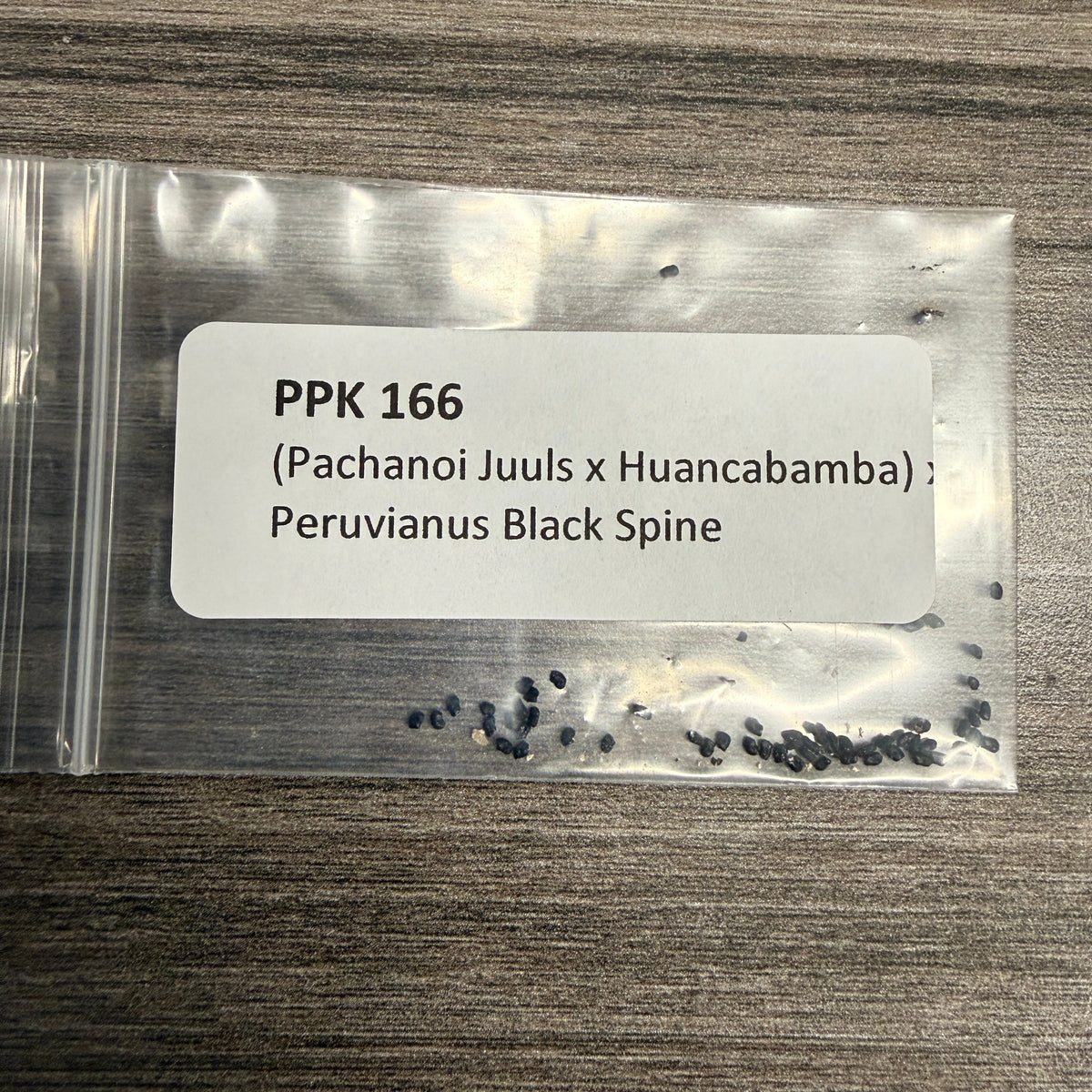 PPK 166 - Juuls x Huancabamba x Black Spine- Pachanoi x Peruvianus