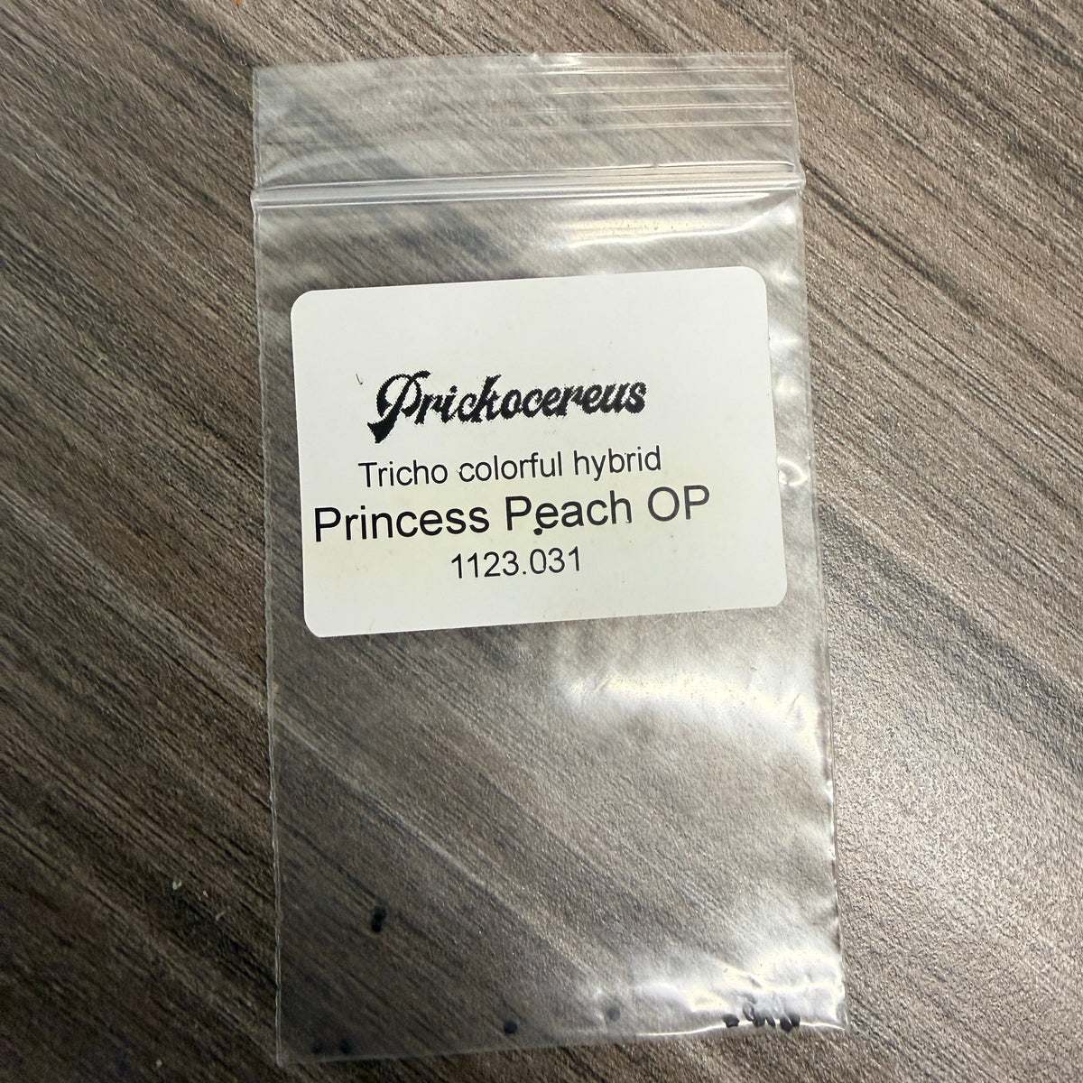Prickocereus Seed Pack 1123.031 - Princess Peach OP - Colorful Hybrid