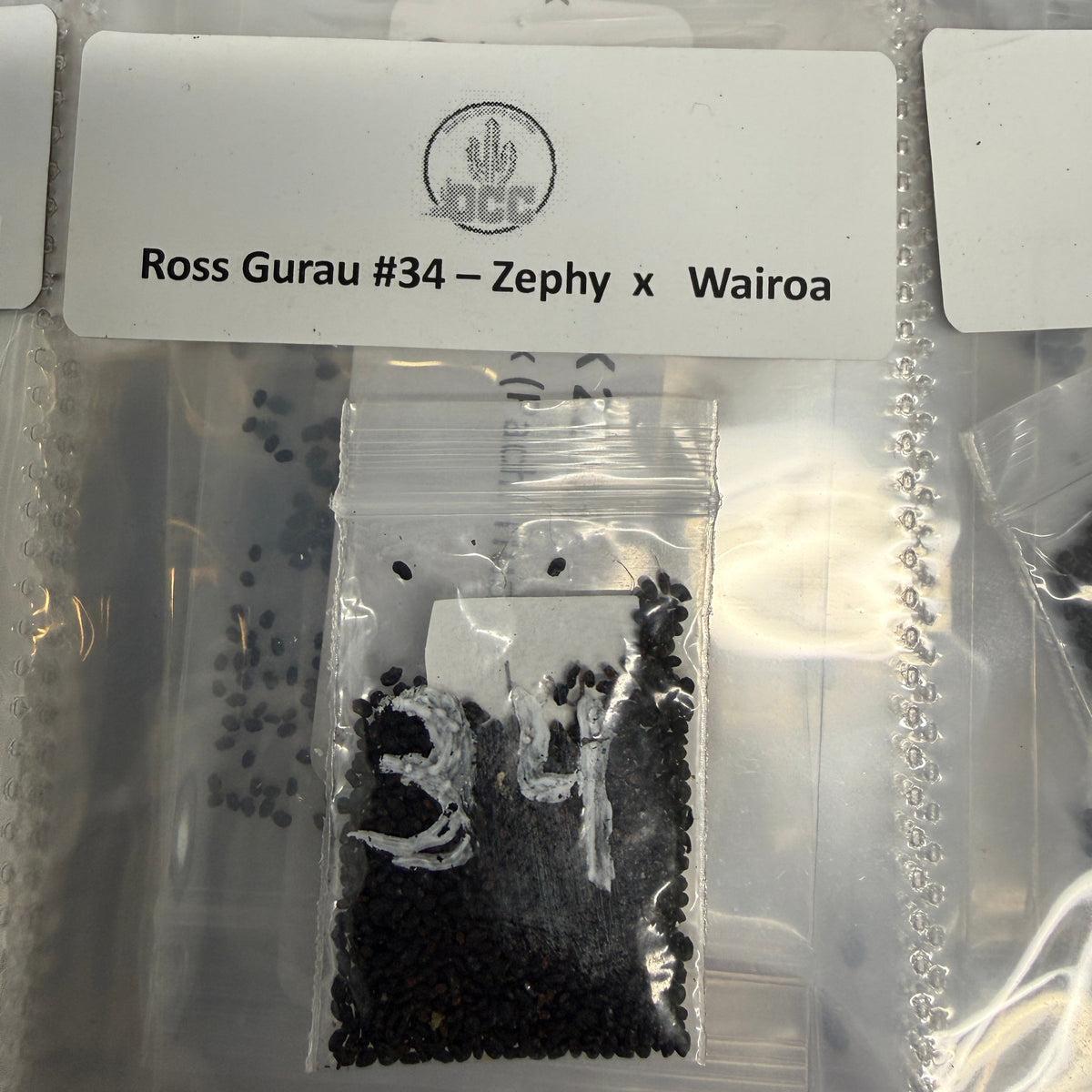 Ross Gurau - '23 - Zephyr x Wairoa - 30 Seeds