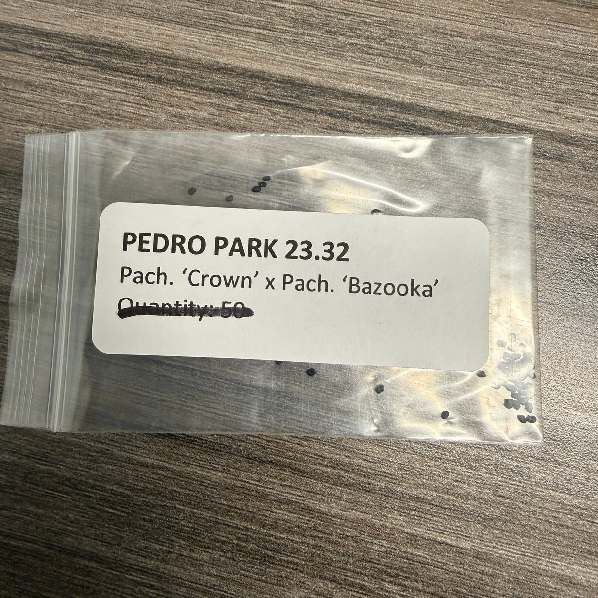 Pedro Park -'23 #32 'Crown' x 'Bazooka' - Pachanoi x Pachanoi