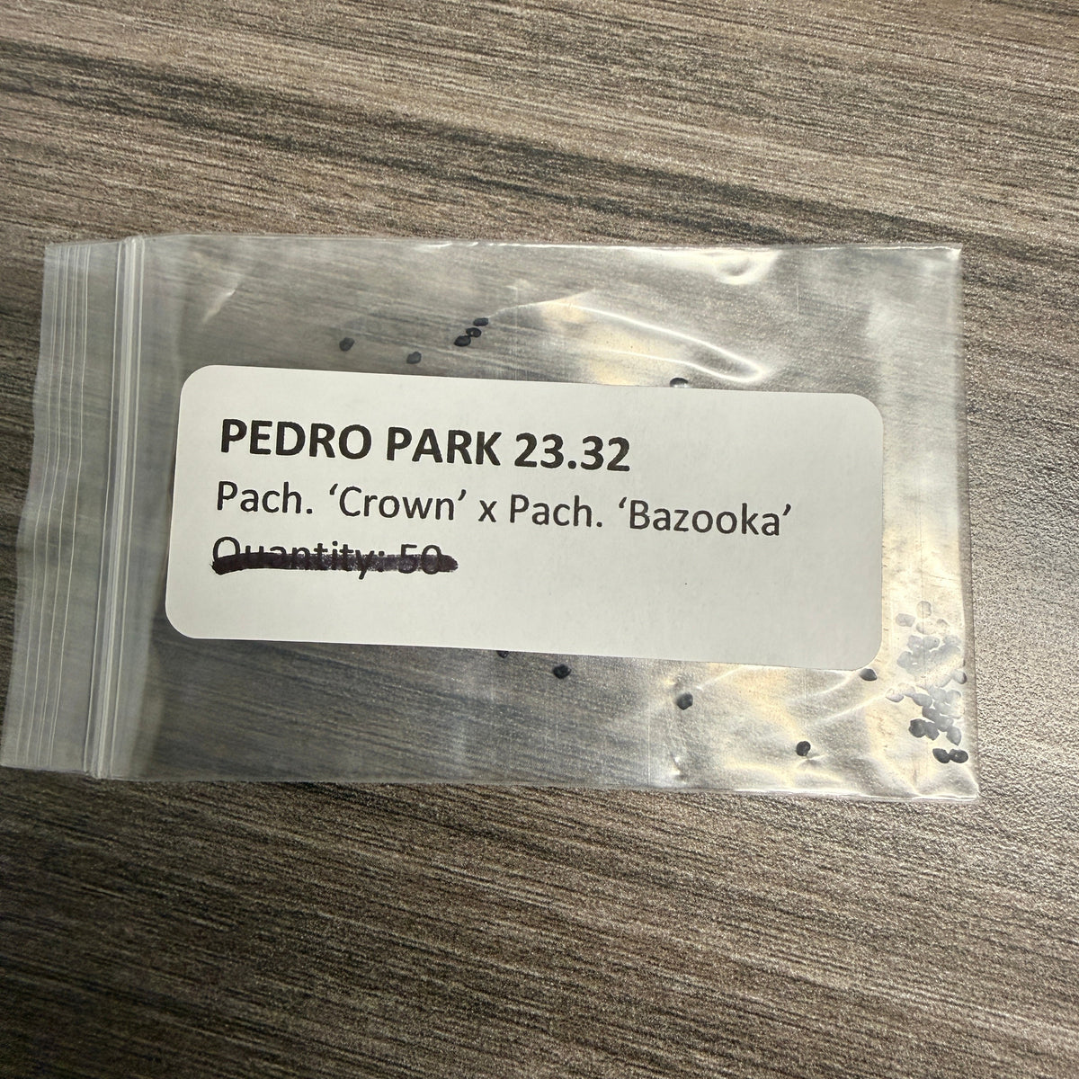 Pedro Park -'23 #32 'Crown' x 'Bazooka' - Pachanoi x Pachanoi
