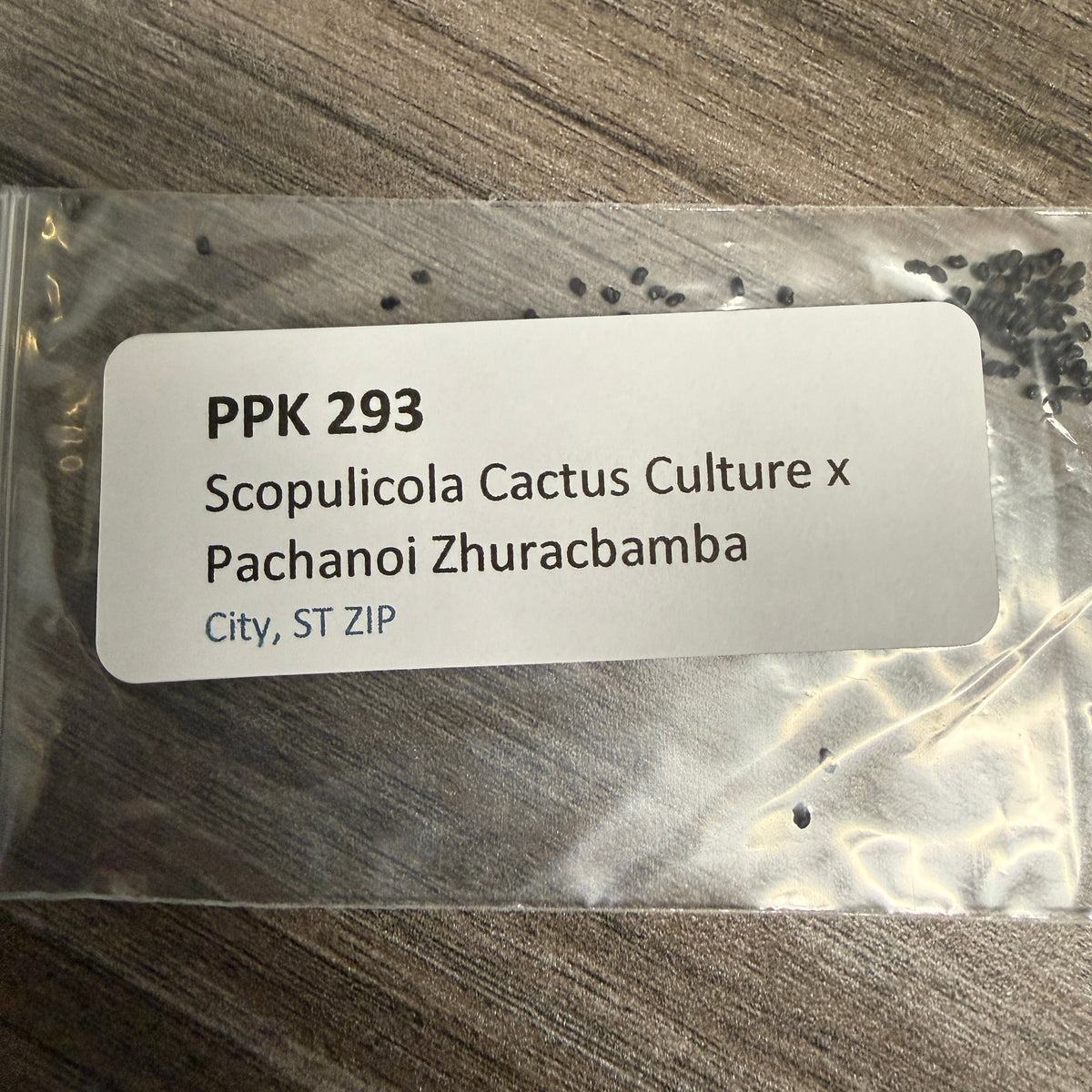 PPK 293 - Scopulicola Cactus Culture x Zhuracabamba - Scopulicola x Pachanoi