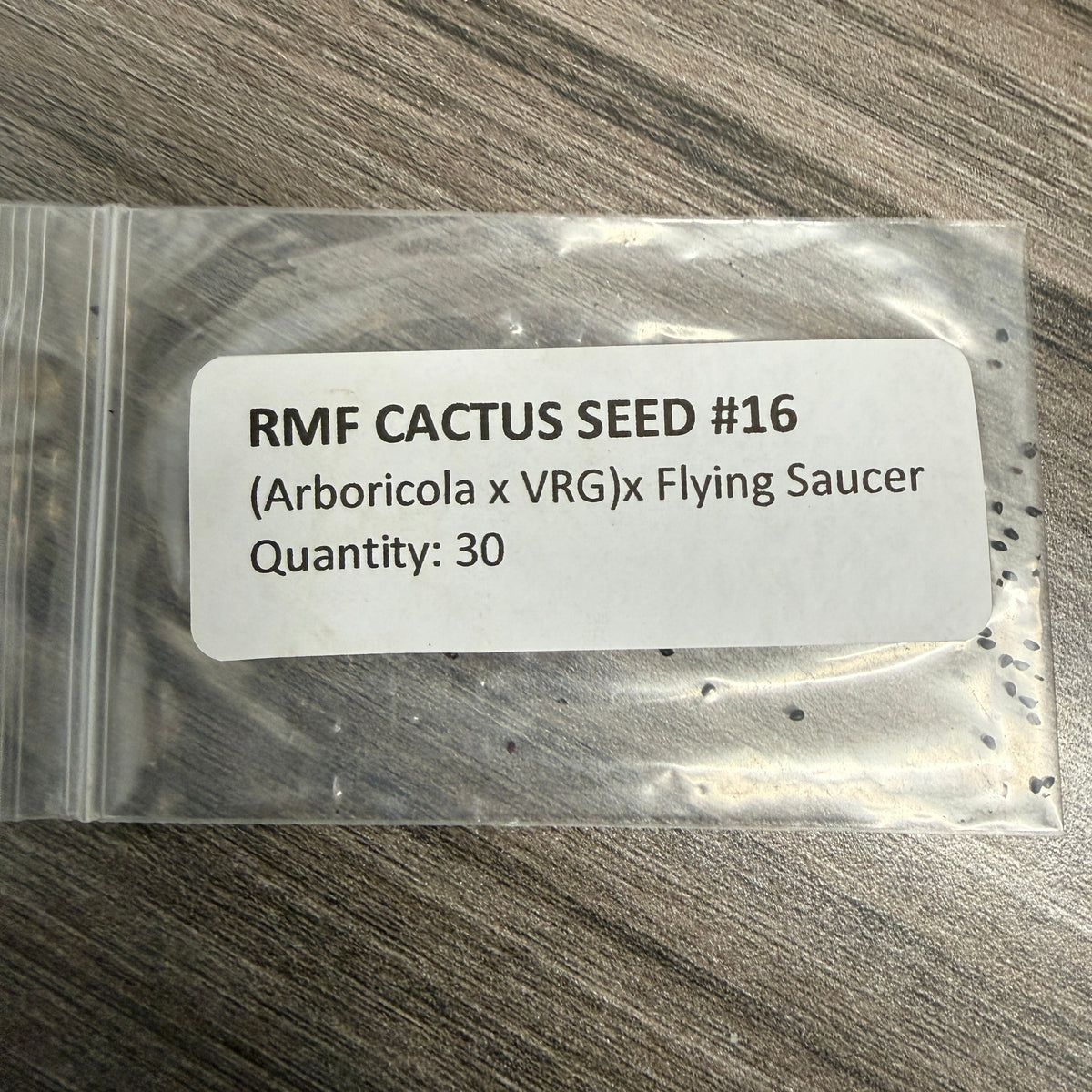 RMF Cactus #16 - (Arbicola x VRG) x Flying Saucer