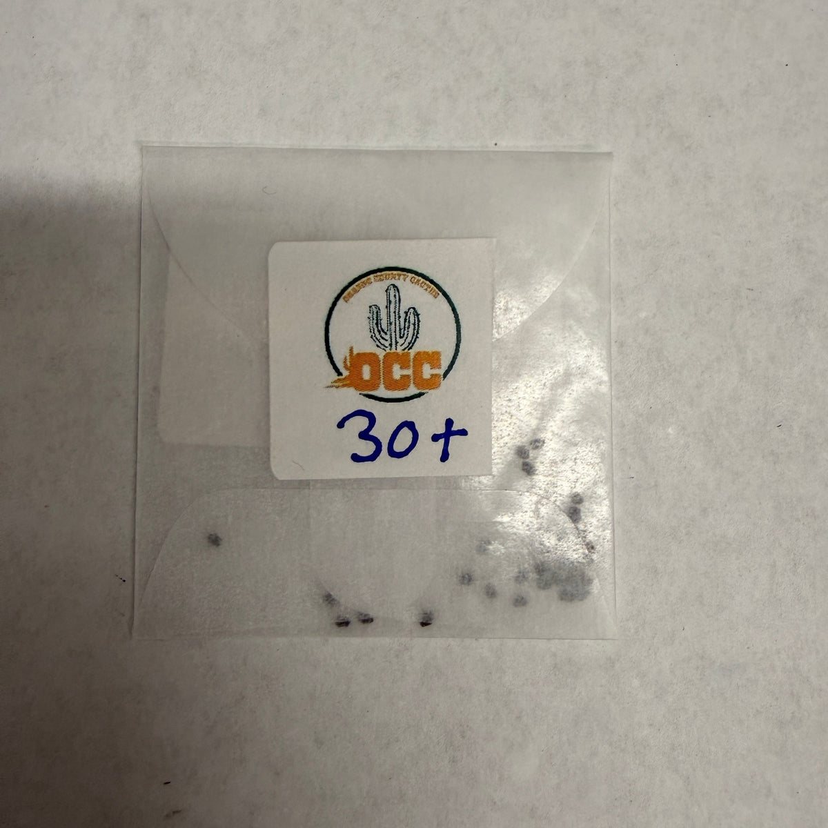 Orange County Cactus 006 - Huarazensis x Lee - Pachanoi x Bridgesii