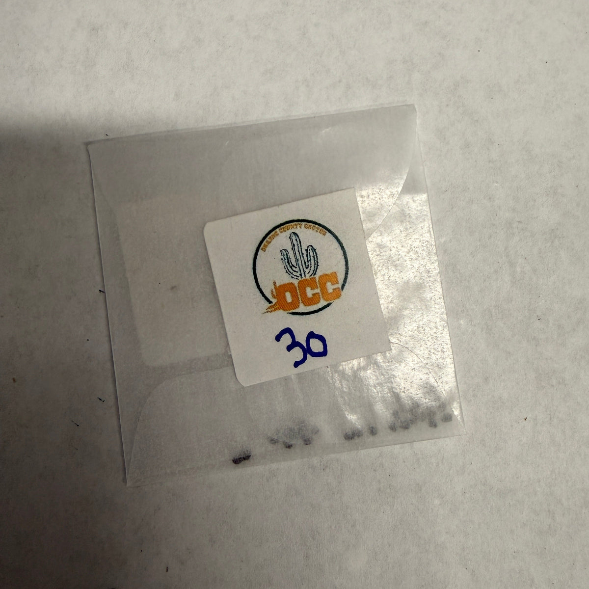 Orange County Cactus - 0007 - Dangar x Yogi - Pachanoi x Pachanoi
