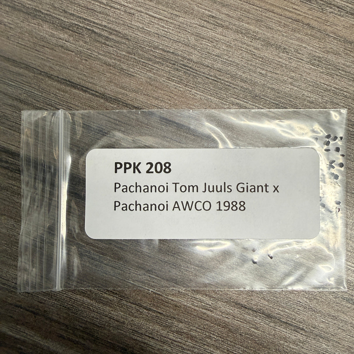 PPK 208 - Pachanoi Tom Juuls Giant x Pachanoi AWCO 1988