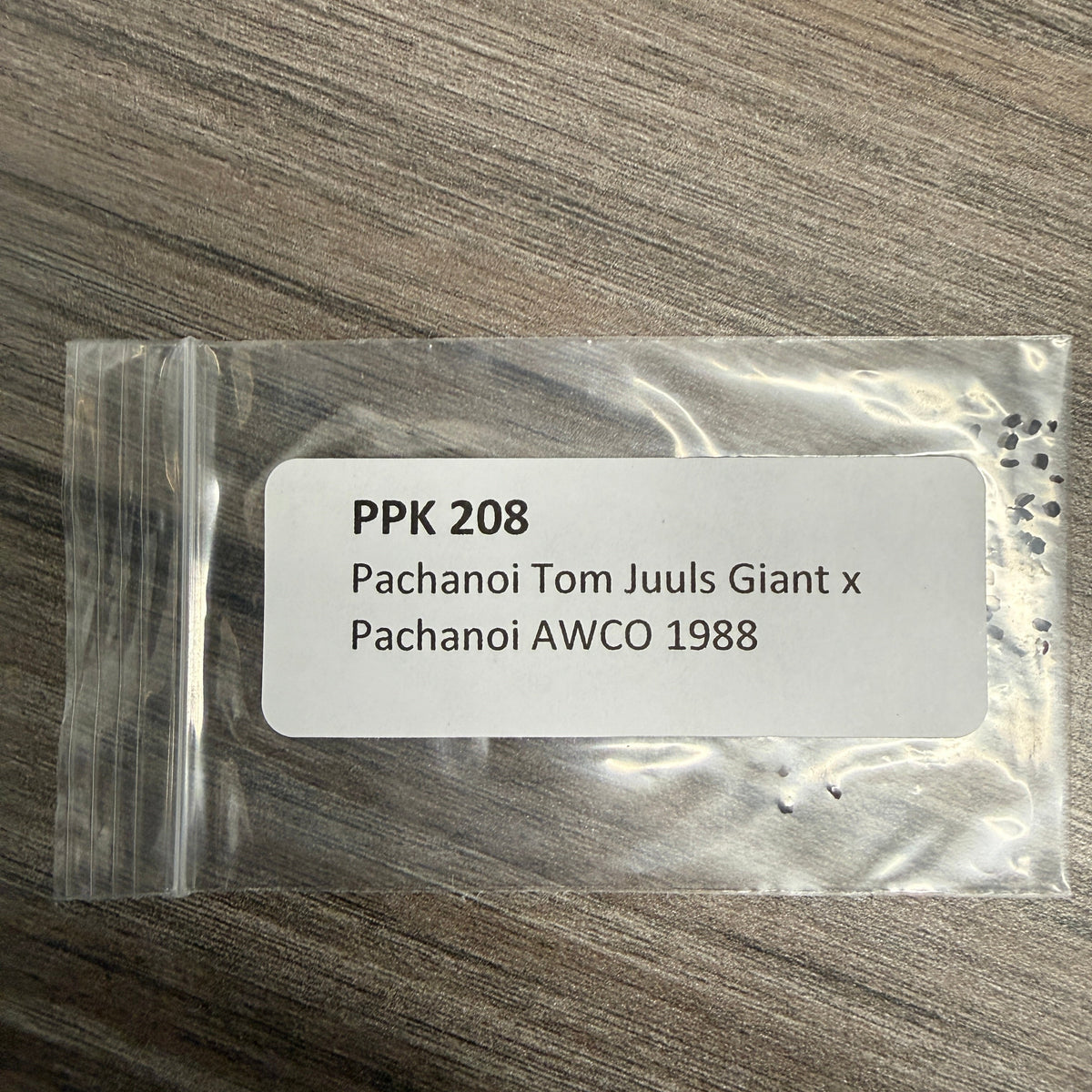 PPK 208 - Pachanoi Tom Juuls Giant x Pachanoi AWCO 1988