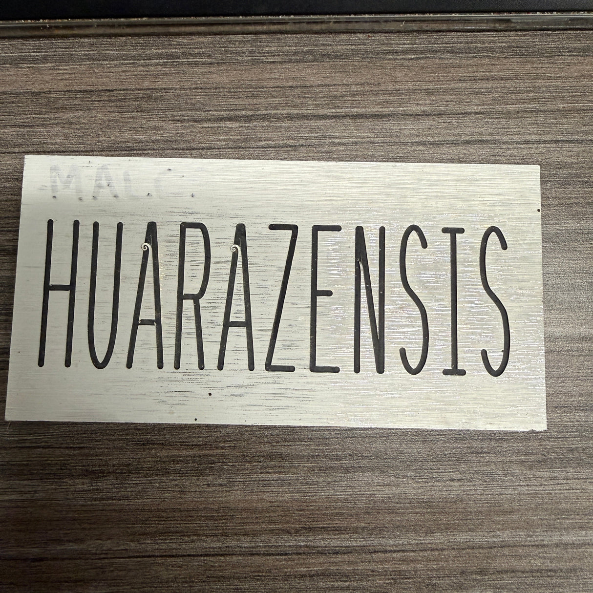 Cactus Identification Sign - 3" x 5" - Huarazensis