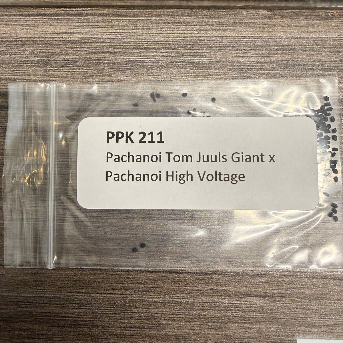 PPK 211 - Pachanoi Tom Juuls Giant x Pachanoi High Voltage