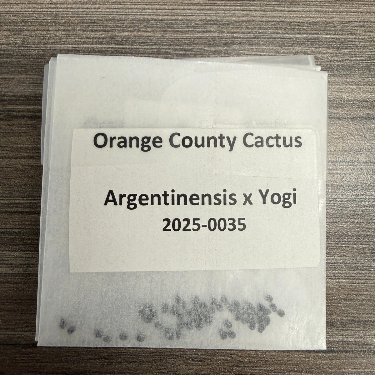 Orange County Cactus 0035 - Argentinensis x Yogi