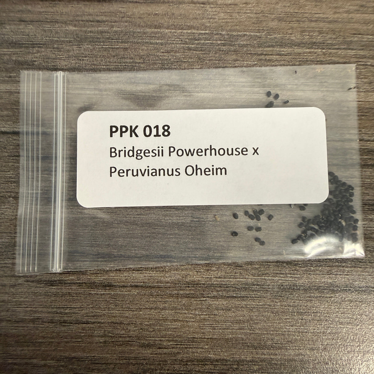 PPK 018 - Bridgesii Powerhouse x Peruvianus Oheim