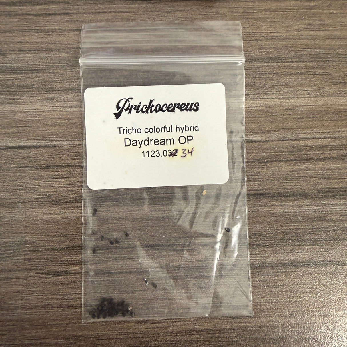 Prickocereus Seed Pack 1123.034 - Colorful Hybrid Daydream