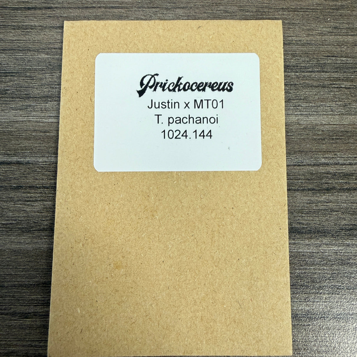 Prickocereus Seed Pack 1024-144 - Justin (Pachanoi) x MT01 (Pachanoi)