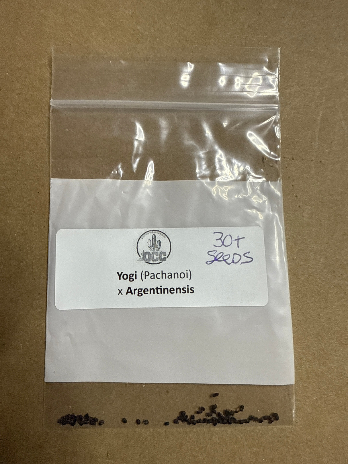 Yogi x Argentinensis (30+ seeds)