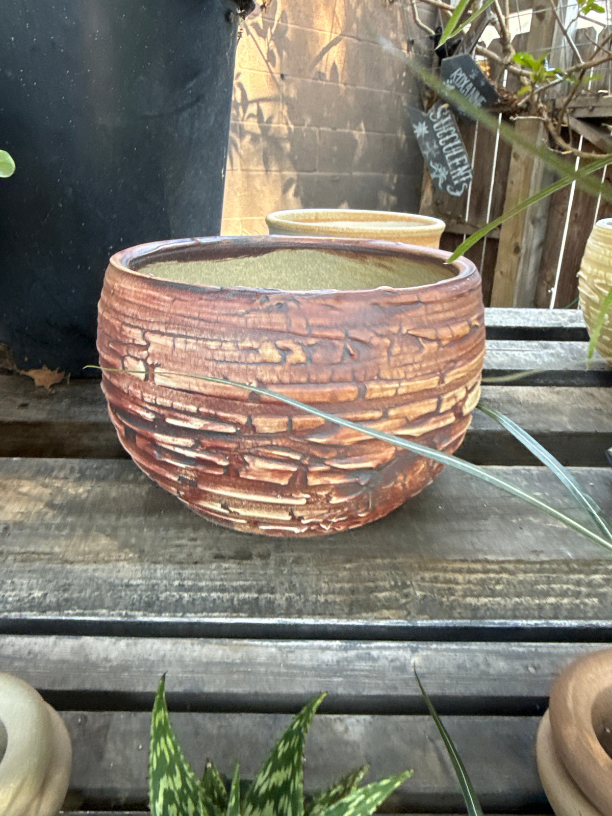 WCP Handmade Pot for Bonsai & Cacti
