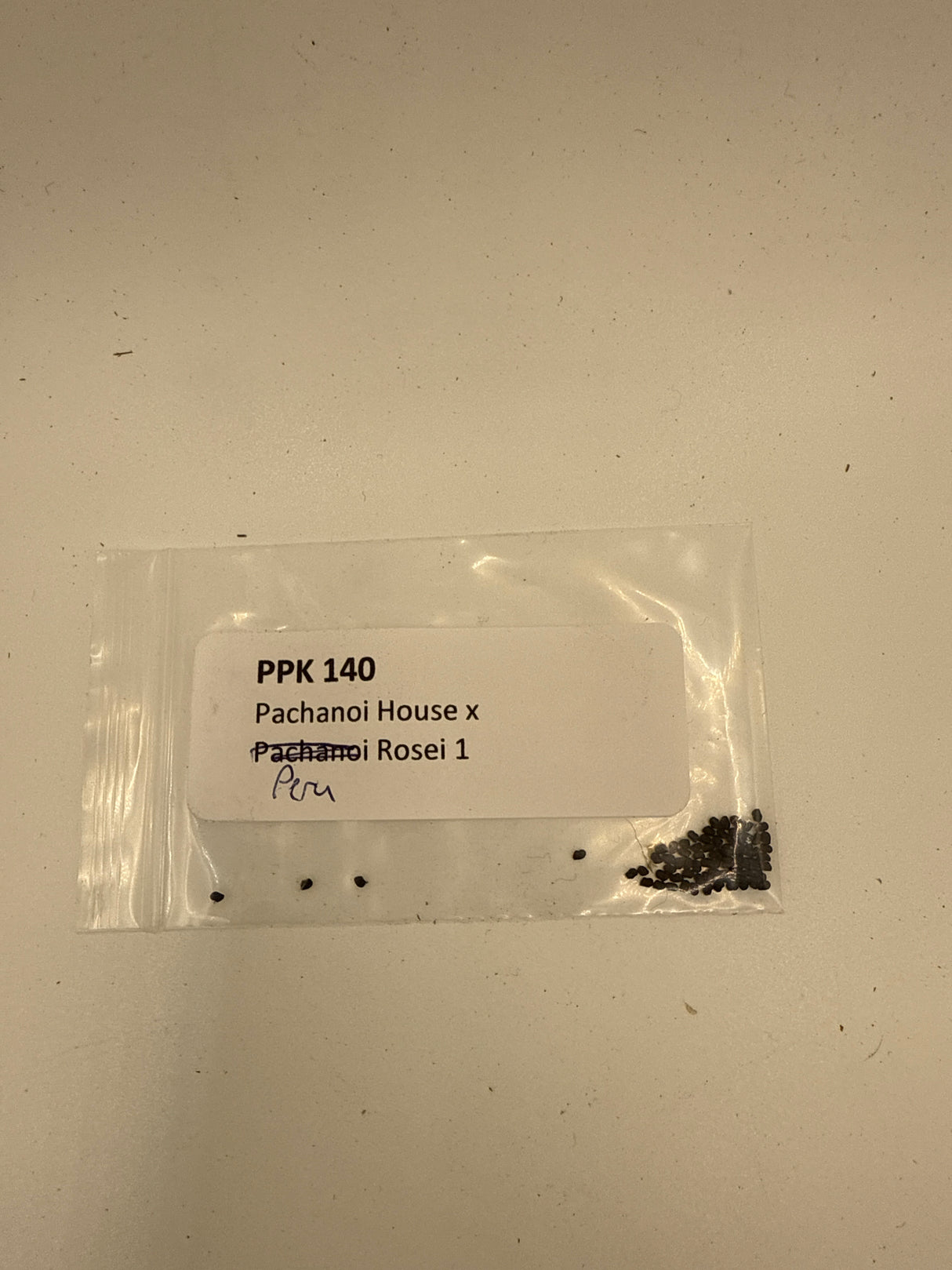 PPK 140 Pachanoi House x Rosie 1              ( 30 Seeds)