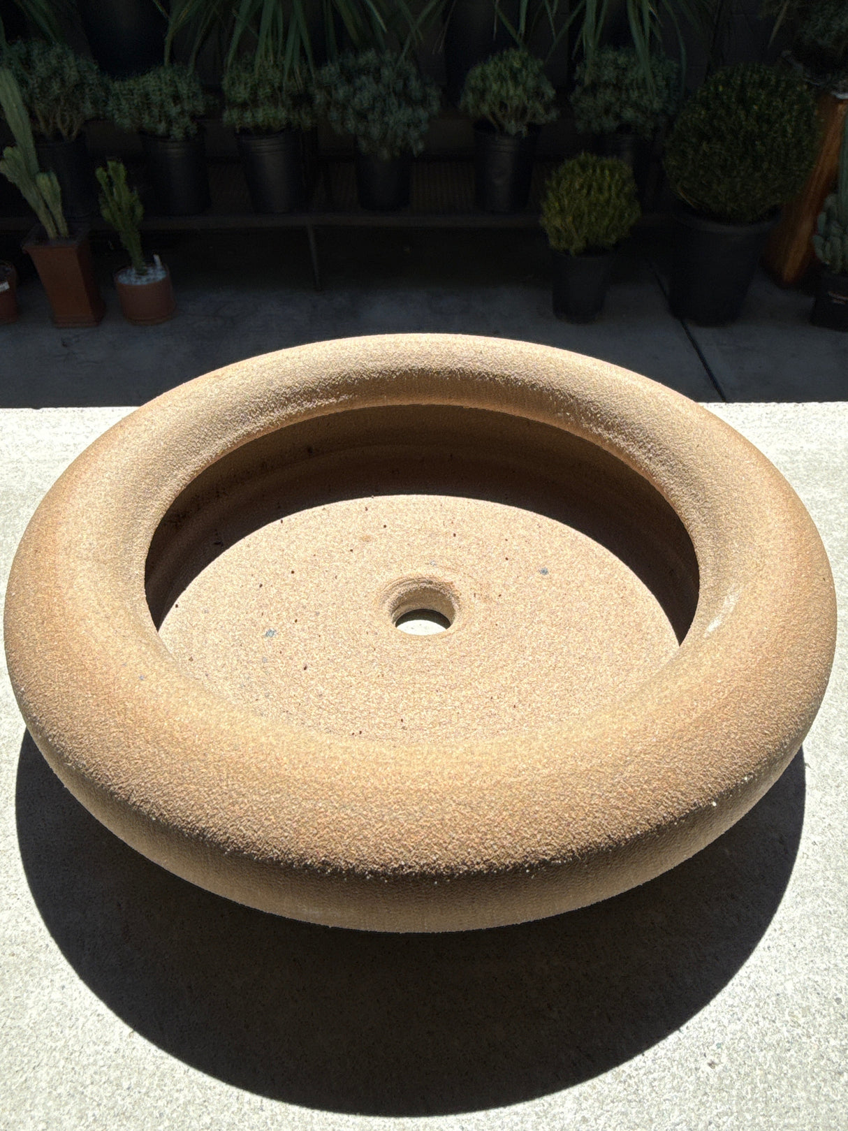 Handmade Bonsai Pot by WCP – OC Cactus Exclusive