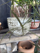 WCP Handmade Pot for Bonsai & Cacti