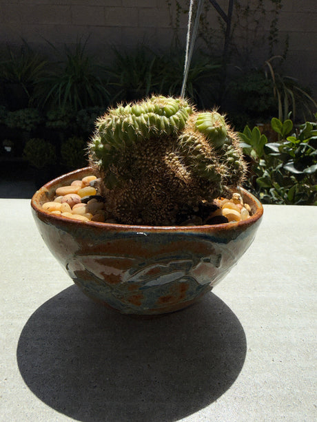 TPM x OP - Monstros - Cactus Hybrid