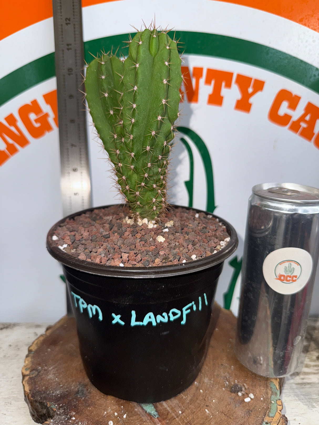 TPM x Landfill -