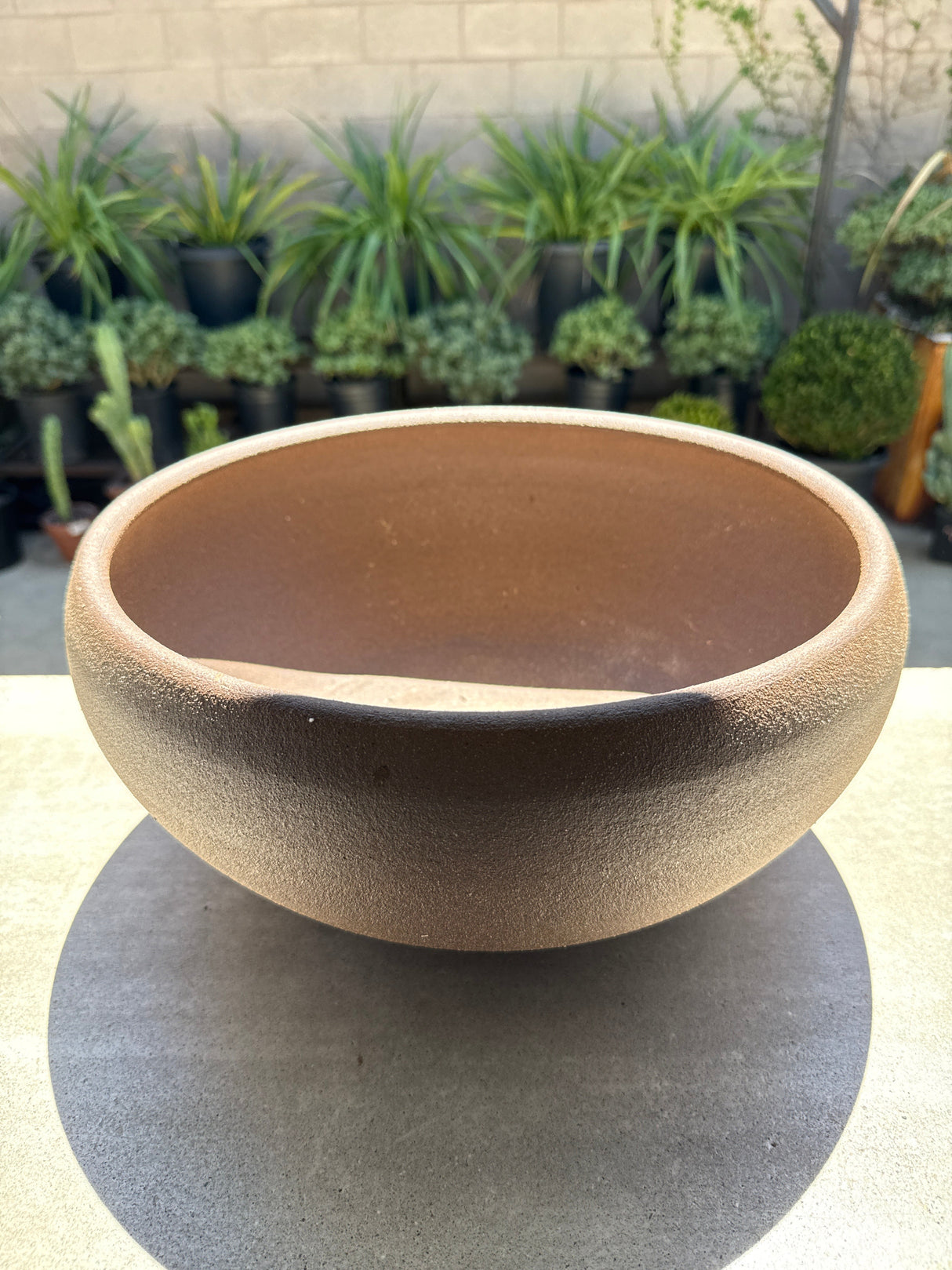 Handmade Bonsai Pot by WCP – OC Cactus Exclusive