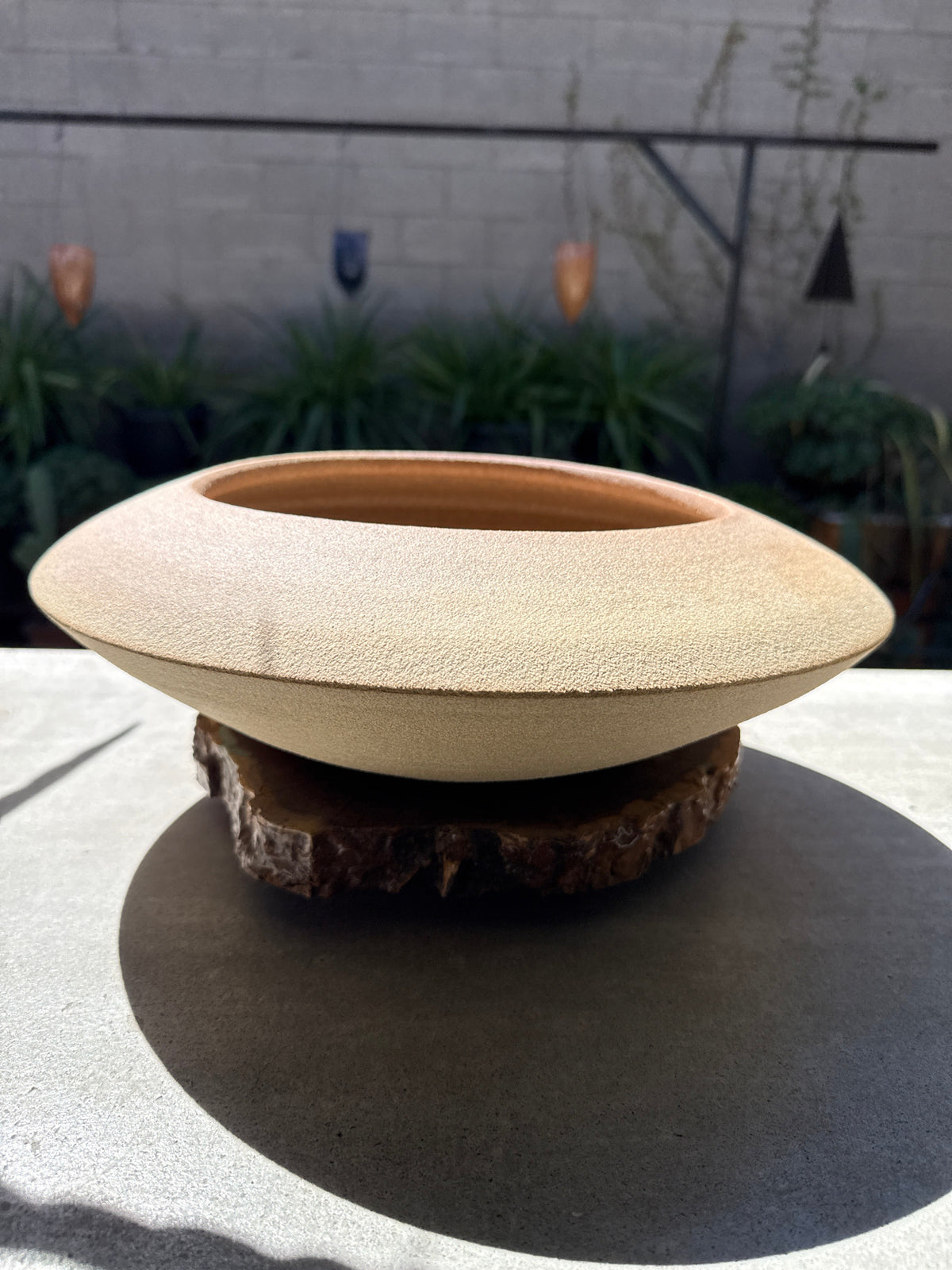 WCP Handmade Pot for Bonsai & Cacti