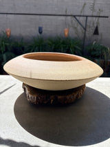 WCP Handmade Pot for Bonsai & Cacti