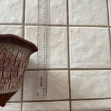 Kenny Smith fine pottery -  8.5" #1000