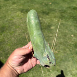 TBM CLONE A - Long Form - Columnar Cactus Clone