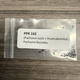 PPK 162 - (Juuls x Huancabamba) x Bazooka - Pachanoi x Pachanoi