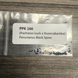 PPK 166 - Juuls x Huancabamba x Black Spine- Pachanoi x Peruvianus