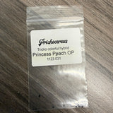 Prickocereus Seed Pack 1123.031 - Princess Peach OP - Colorful Hybrid