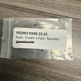 Pedro Park -'23 #32 'Crown' x 'Bazooka' - Pachanoi x Pachanoi