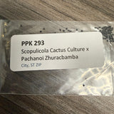 PPK 293 - Scopulicola Cactus Culture x Zhuracabamba  - Scopulicola x Pachanoi