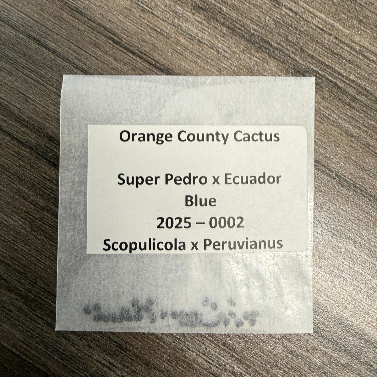 Orange County Cactus  0002 - Super Pedro x Ecuador Blue - Scopulicola x Peruvianus