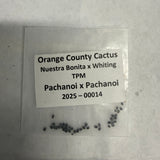 Orange County Cactus - 0014 - Nuestra Bonita x Whiting TPM
