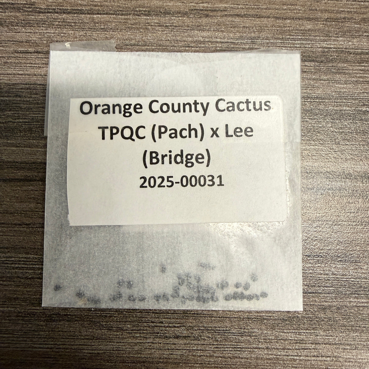 Orange County Cactus - 0031 - TPQC (Pach) x Lee (Bridge)