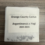 Orange County Cactus  0035 - Argentinensis x Yogi