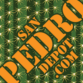 San Pedro Depot